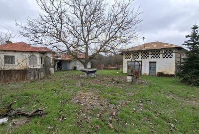 Casă individuală cu 4 camere cu Teren 2570 Mp în Teiu - 3