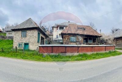 Casă individuală cu 2 camere în Bârsana