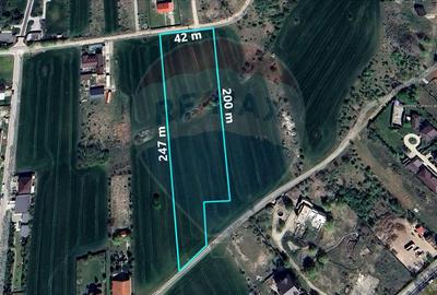 Teren intravilan, 9195 mp, dubla deschidere,Vladiceasca/Snagov - 1