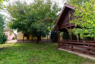Vila /Pensiune 6 camere in Cristur, jud Hunedoara - 52