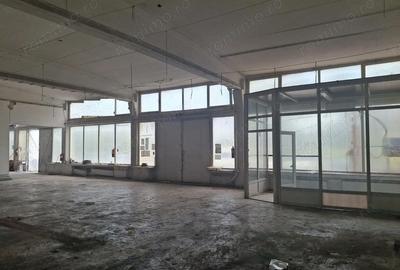 Spațiu comercial, de 500 mp, în Theodor Pallady - 2