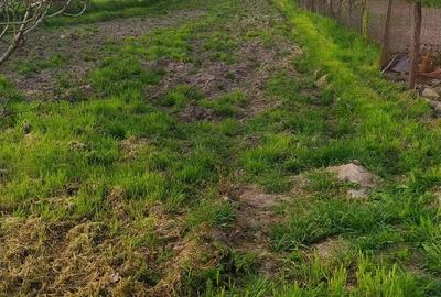 Casă cu Teren 600 Mp în Măceșu de Jos - 5