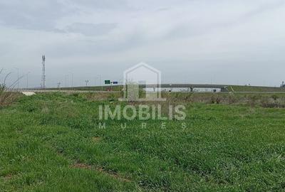 ‼️OPORTUNITATE DE INVESTIȚIE‼️ Teren Zona Ungheni | 44376 mp - 4