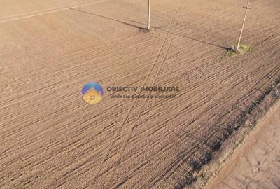 Teren Construcții intravilan de 3600 mp, în Dumbrava Roșie - 4