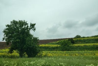 Teren Construcții intravilan de 500 mp, în Băneasa - 3