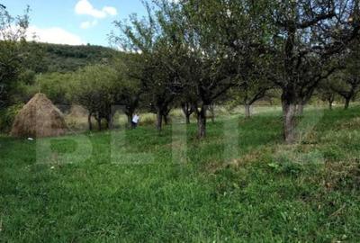 1.07 Ha in Slatinita - 8