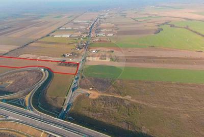 Teren Construcții intravilan de 27093 mp, în Biharia - 7