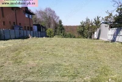 Teren Construcții intravilan de 1700 mp, în Cocoșești