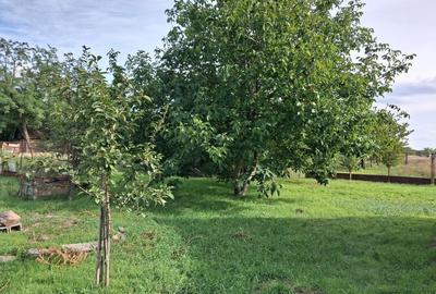 Casă cu 2 camere în Iratoșu - 8
