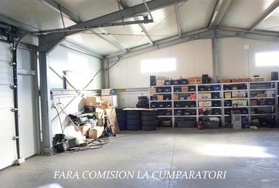 HALA NOUA DE 339 MP, TEREN 1131 MP, PLATFORMA BETONATA - 10