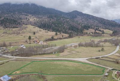 Teren intravilan, 6.900 mp, construibil - Plaiul Foii, Zarnesti - 2