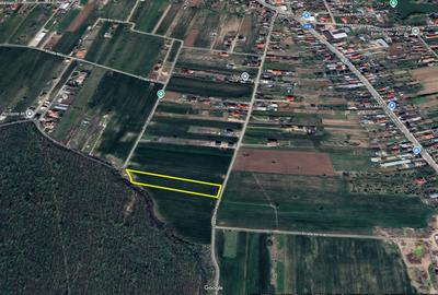 Teren Construcții intravilan de 4796 mp, în Snagov - 3