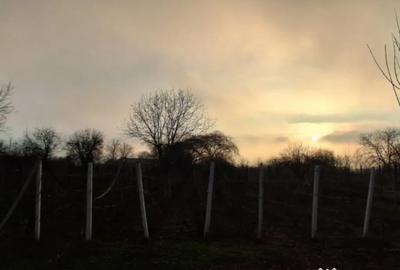 Casă cu 4 camere cu Teren 1200 Mp în Central - 2