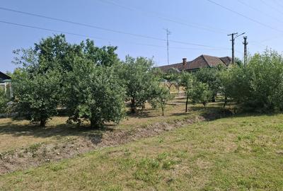 CASĂ MARE in Nadlac cu teren generos 2095mp - 3