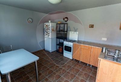 Casa de vanzare Certeju de Sus,jud Hunedoara - 15
