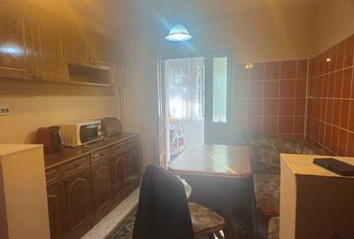 Apartament de inchiriat, 2 camere, 50 mp, Brazda lui Novac - 4