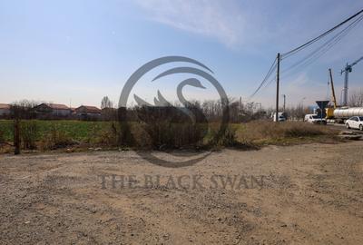 Teren Construcții intravilan de 7800 mp, în Târgșoru Nou - 6