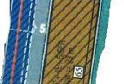 Teren Stradal Sisesti 9788 mp New 2025 - 1