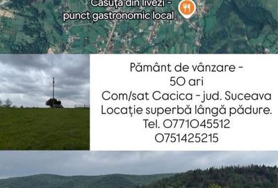 Spațiu comercial, în Cacica - 1