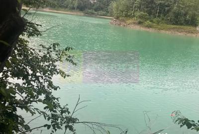 Teren în Valea Doftanei - 8