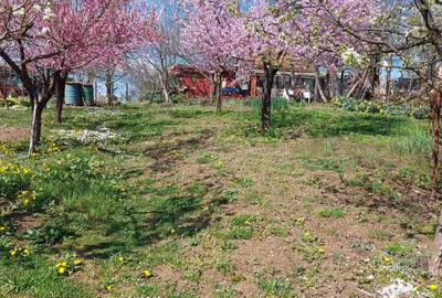Teren de 2000 mp, în Calea Caransebeșului - 1