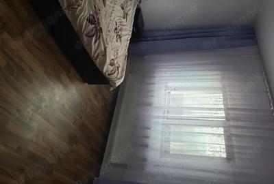 Casă cu Teren 7066 Mp în Dobroteasa - 5
