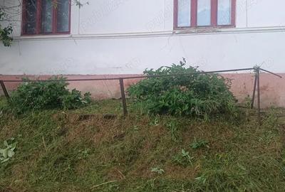 Casa de vanzare + Teren - 3