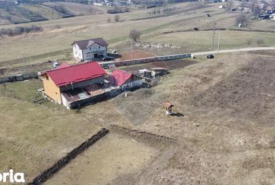 Teren de 3591 mp, în Aghireșu - 8