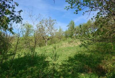 Teren intravilan si cladire in Apuseni, Blajeni, Hd Teren intravilan si cladire in Apuseni, Blajeni, Hd - 14