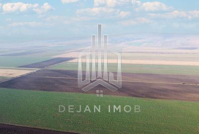 Teren agricol extravilan de 5 mp, în Moacșa - 3