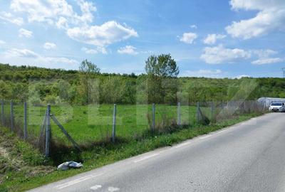 Teren 31 ari, zona linistita - 1