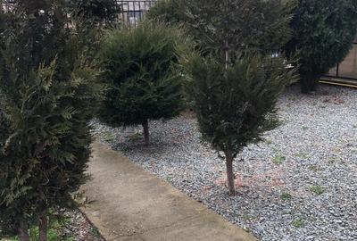 Casă cu 5 camere cu Canalizare în Sanatoriul Agigea - 4