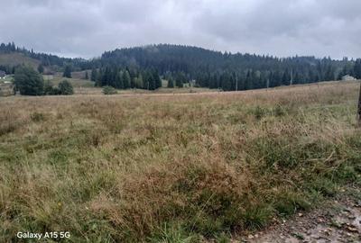 Spațiu comercial, în Poiana Stampei - 4