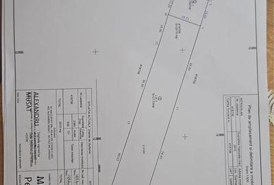 Spațiu comercial, în Giarmata - 2