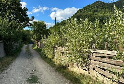 Spațiu comercial, în Lepșa - 5