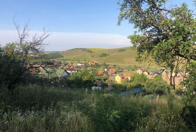 Teren de 2900 mp, în Dezmir - 2