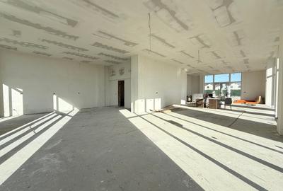 Spațiu comercial, de 170 mp, în Moșnița Nouă - 1