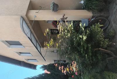 Casa de vanzare str Kaffka Margit - 5