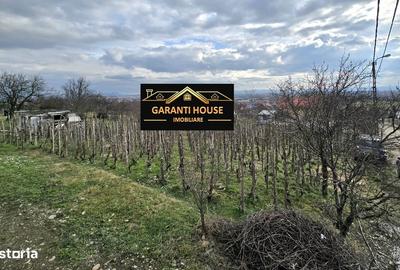 Teren de 600 mp, în Central