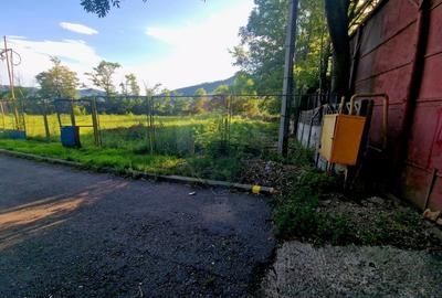 Teren 1,749mp Piatra-Neamt / Strada Zambilelor - 19