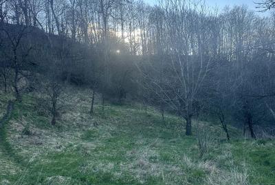 Teren de 2800 mp, în Văleni-Dâmbovița - 7