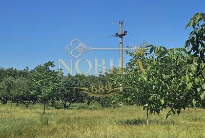 Spațiu comercial, în Central - 4