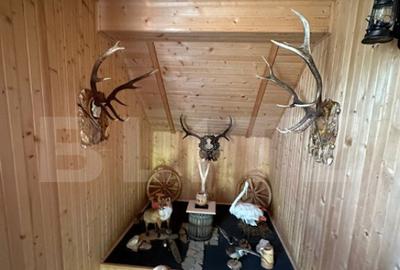 Ocazie unica! Cabana 200 mp utili, teren 800 mp, Ilisesti - 2