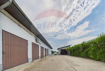 Proprietate specială, de 937 mp, în Dragomirești-Deal - 35