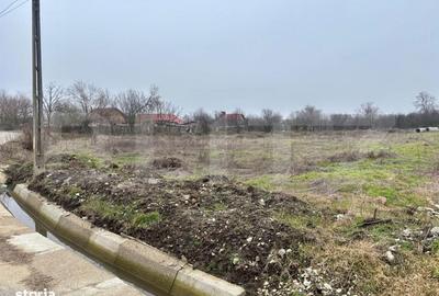 Spațiu comercial, în Mischii - 3