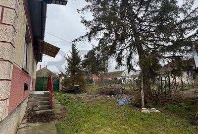 Casă cu 3 camere cu Teren 1900 Mp în Borș - 6