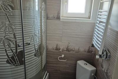 Apartament 2 camere 1 Decembrie 1918 duplex - 9