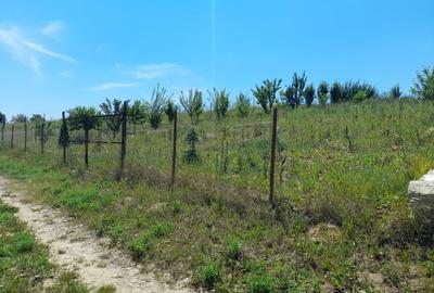 Tren in zona Copou  ,  Numarul de tel. nu este corect scrieti mesaj. - 2