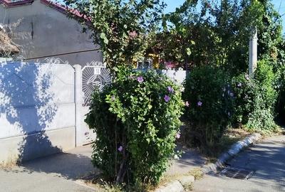 Teren Lacul Morii, Bucuresti - 11