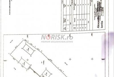 Duplex 5 Camere Clinceni - 20